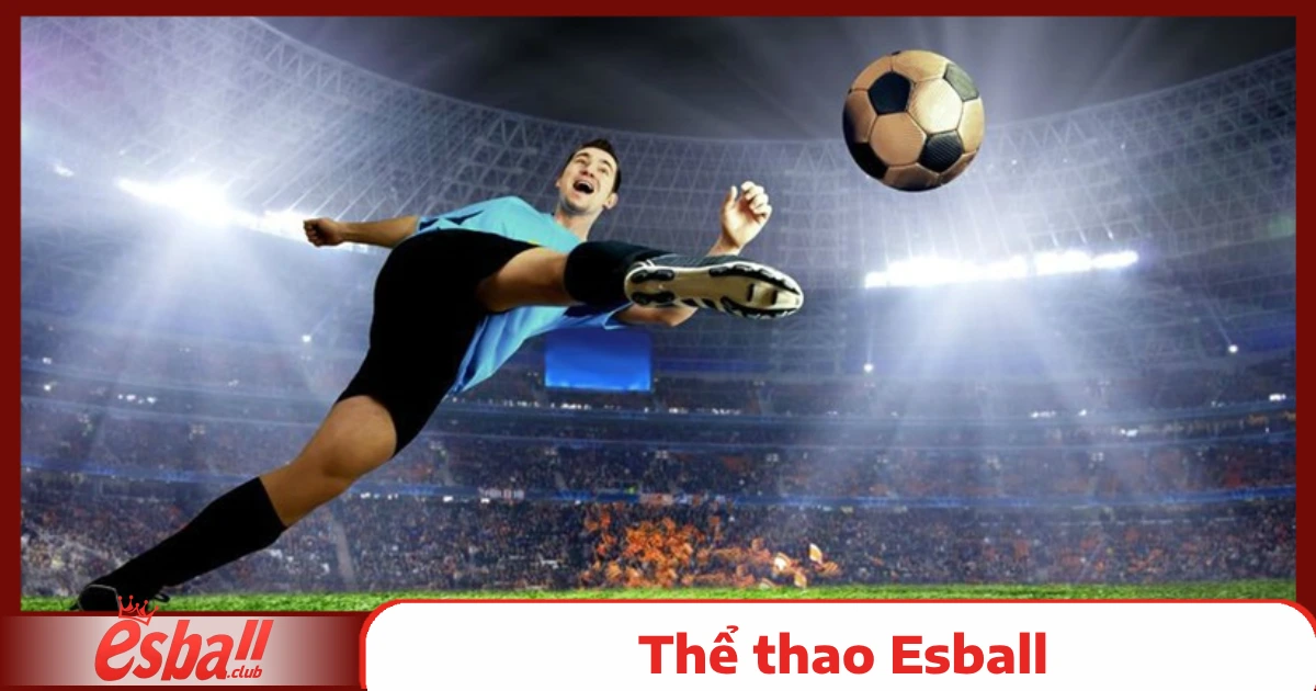 Thể thao Esball 1 Cá Cược Thể Thao Esball