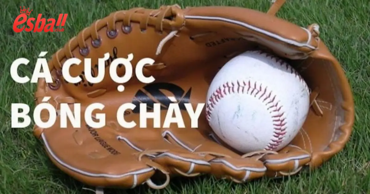 Cá Cược Bóng Chày Esball – Trải Nghiệm Cá Cược Thể Thao Độc Đáo 6 Cách Đặt Cược Bóng Chày Tại Esball