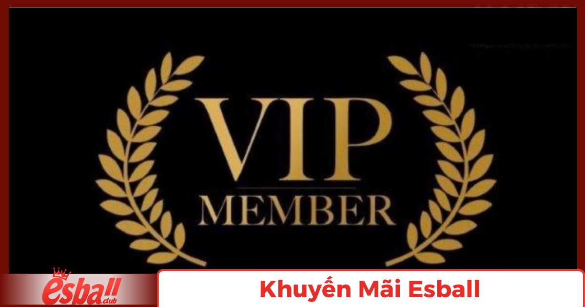 Khuyến Mãi Esball: Những Chương Trình Độc Quyền Năm 2025 6 Sự khác biệt giữa thành viên thường và VIP